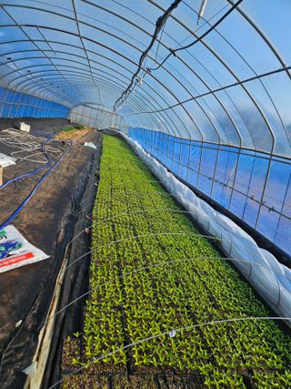 최선희님의 작성글 사진