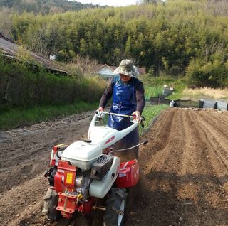 태림고영훈님의 2025 풍년들게 하소서! · 참여글 작성글 사진