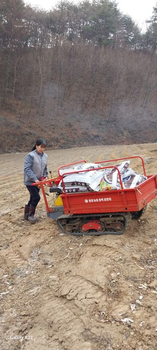 이일철 (조이산골)님의 자유주제 · 자유게시판 작성글 사진