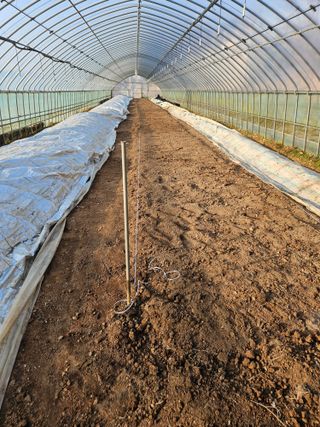 최선희님의 작성글 사진