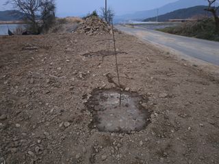 황금농장님의 자유주제 · 자유게시판 작성글 사진