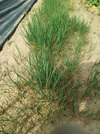 유영옥님의 자유주제 · 자유게시판 작성글 사진