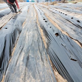 정연섭님의 자유주제 · 자유게시판 작성글 사진