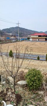 팜모닝 자유주제·사진전 게시글 이미지