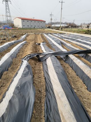 박순례님의 자유주제 · 자유게시판 작성글 사진