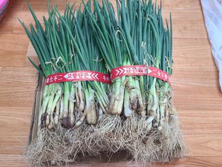 김윤기님의 작성글 사진