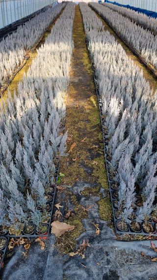 행복한나무농장님의 작성글 사진