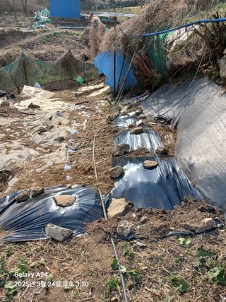 이세순님의 자유주제 · 자유게시판 작성글 사진