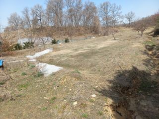 한학수님의 자유주제 · 자유게시판 작성글 사진