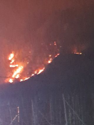 김인태님의 자유주제 · 자유게시판 작성글 사진