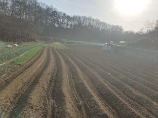 옥천서화농님의 자유주제 · 자유게시판 작성글 사진