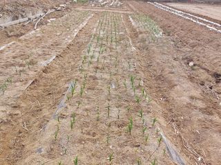 누굴까님의 자유주제 · 자유게시판 작성글 사진