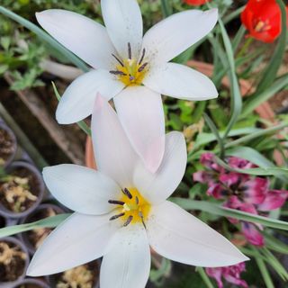 팜아트스토리산뜻님의 2025 풍년들게 하소서! · 참여글 작성글 사진