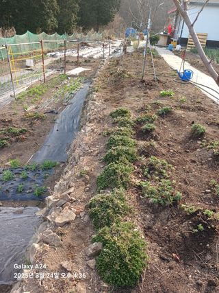 이세순님의 자유주제 · 자유게시판 작성글 사진