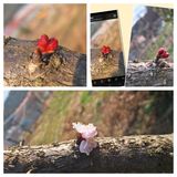 팜모닝 2025 풍년들게 하소서!·참여글 게시글 이미지