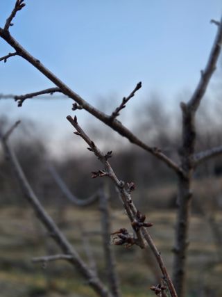 박정희 님의 2025 풍년들게 하소서! · 참여글 작성글 사진