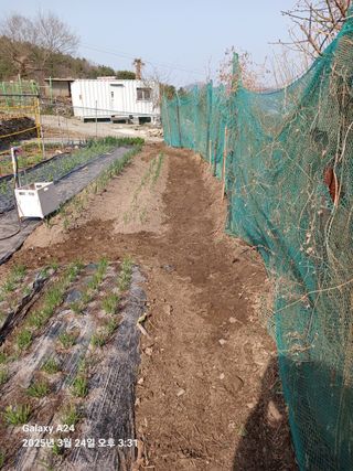 이세순님의 자유주제 · 자유게시판 작성글 사진