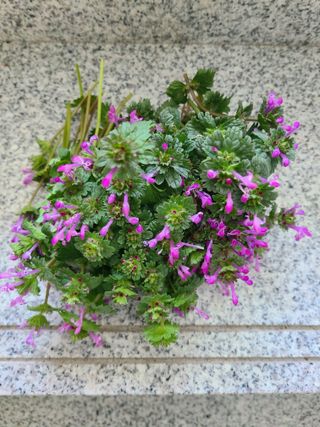 자연같이님의 자유주제 · 자유게시판 작성글 사진