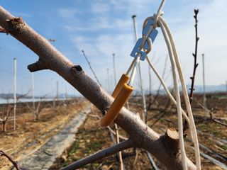 꿀복이농장님의 2025 풍년들게 하소서! · 참여글 작성글 사진