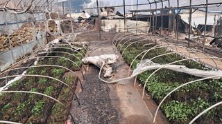 김호문님의 2025 풍년들게 하소서! · 참여글 작성글 사진