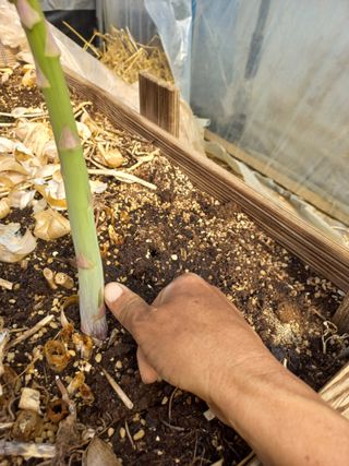 박린님의 자유주제 · 자유게시판 작성글 사진