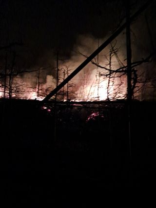 김인태님의 자유주제 · 자유게시판 작성글 사진