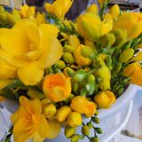 팜모닝 2025 풍년들게 하소서!·참여글 게시글 이미지