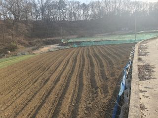 옥천서화농님의 자유주제 · 자유게시판 작성글 사진