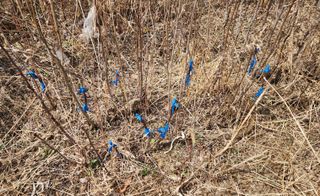 고추건조기부품판매님의 자유주제 · 자유게시판 작성글 사진