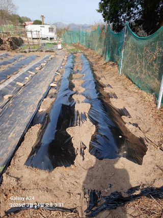 이세순님의 자유주제 · 자유게시판 작성글 사진