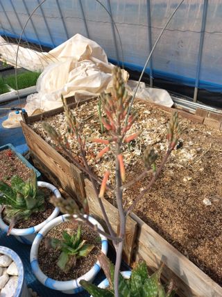 박린님의 자유주제 · 자유게시판 작성글 사진