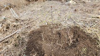 고추건조기부품판매님의 자유주제 · 자유게시판 작성글 사진