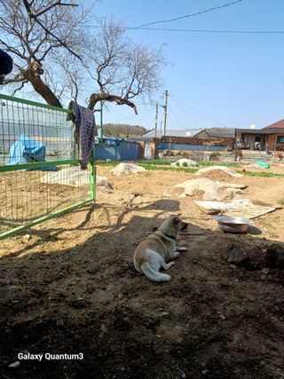 마운틴하리님의 2025 풍년들게 하소서! · 참여글 작성글 사진