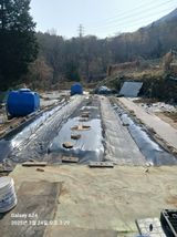 팜모닝 자유주제·자유게시판 게시글 이미지