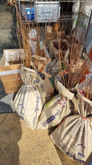 행복한나무농장님의 작성글 사진