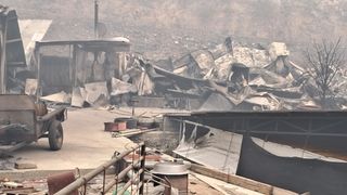 김호문님의 2025 풍년들게 하소서! · 참여글 작성글 사진