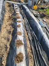 팜모닝 2025 풍년들게 하소서!·참여글 게시글 이미지