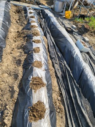 박순례님의 2025 풍년들게 하소서! · 참여글 작성글 사진