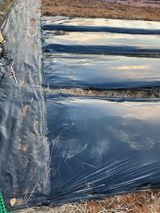 팜모닝 2025 풍년들게 하소서!·참여글 게시글 이미지