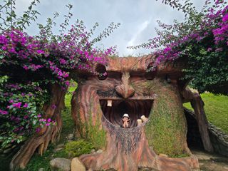 박순례님의 2025 풍년들게 하소서! · 참여글 작성글 사진