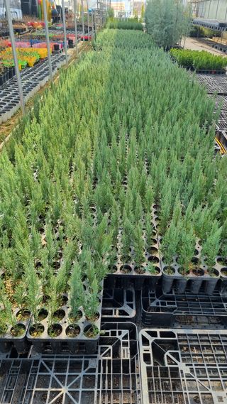 행복한나무농장님의 작성글 사진