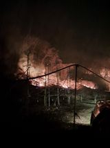 팜모닝 자유주제·자유게시판 게시글 이미지