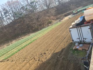 옥천서화농님의 자유주제 · 자유게시판 작성글 사진