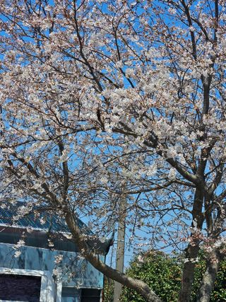 제주 지안이네농장님의 자유주제 · 자유게시판 작성글 사진