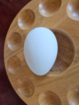 김제일주농장님의 자유주제 · 자유게시판 작성글 사진