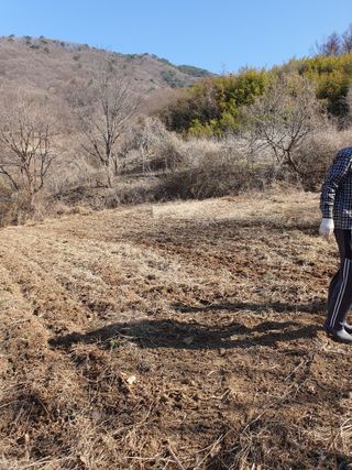 최은실님의 2025 풍년들게 하소서! · 참여글 작성글 사진