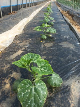 박린님의 자유주제 · 자유게시판 작성글 사진