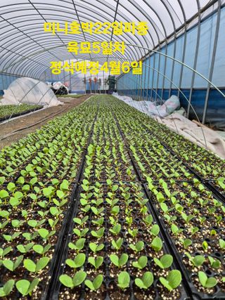 곽행남님의 자유주제 · 자유게시판 작성글 사진