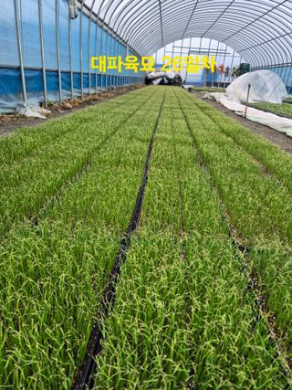 곽행남님의 자유주제 · 자유게시판 작성글 사진