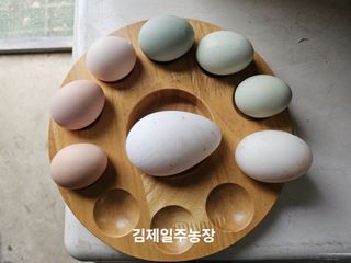 김제일주농장님의 자유주제 · 자유게시판 작성글 사진